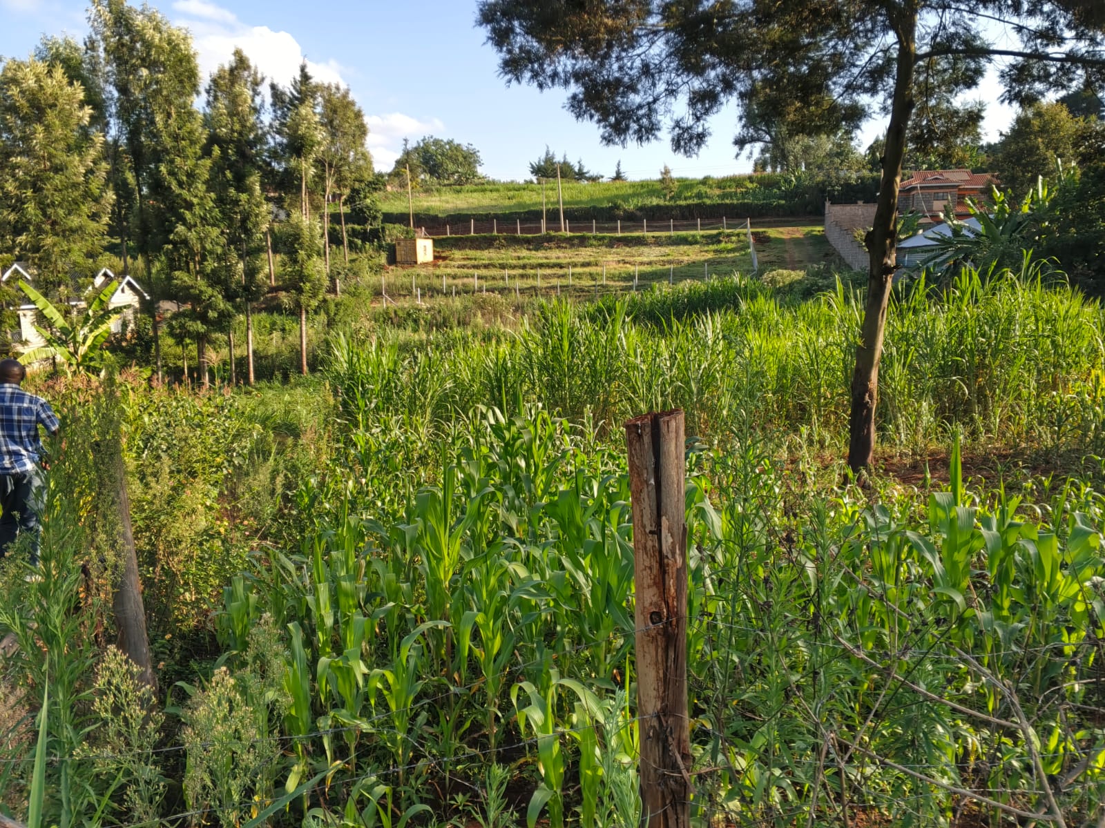 100 BY 100 (1/4 ACRE)