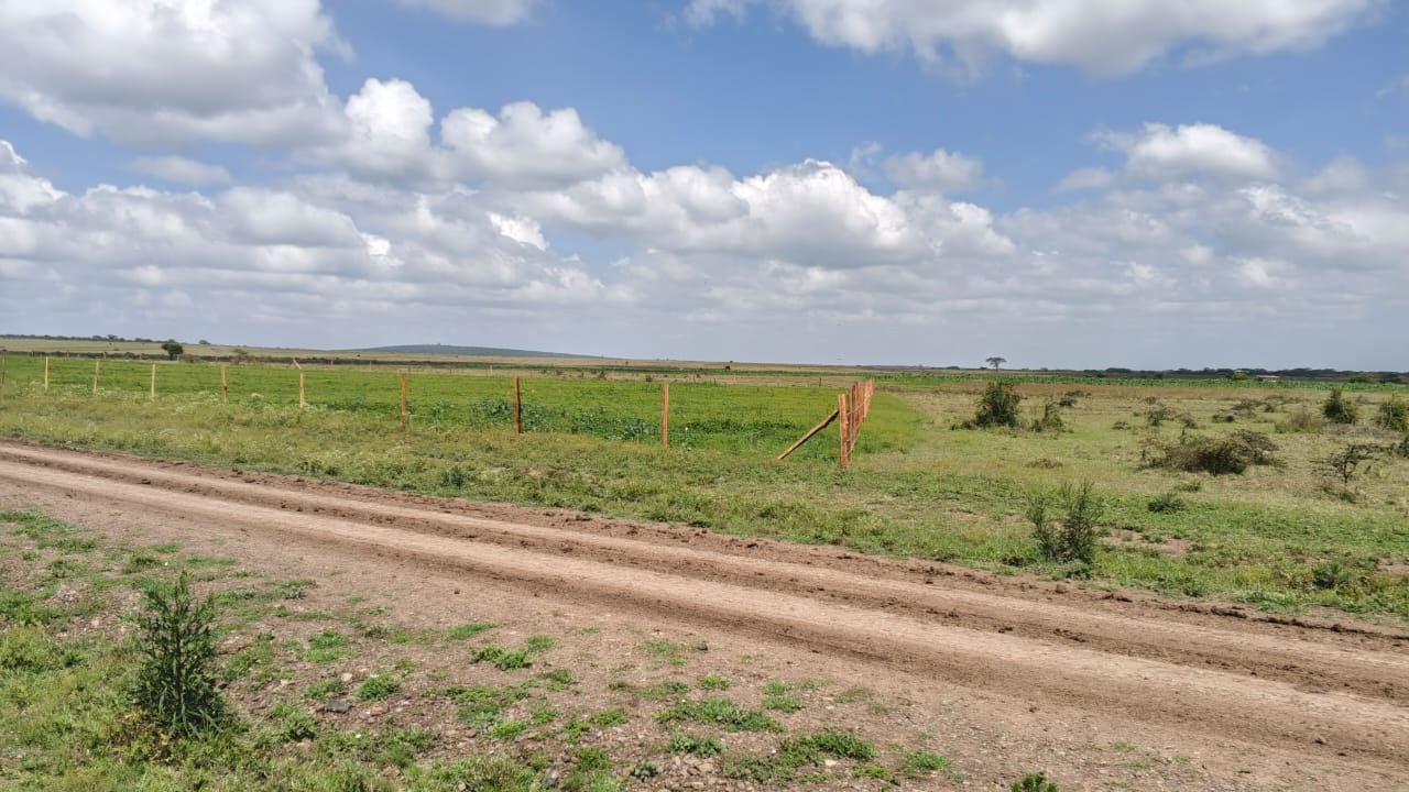 2   50 BY 100 (1/8 ACRE)