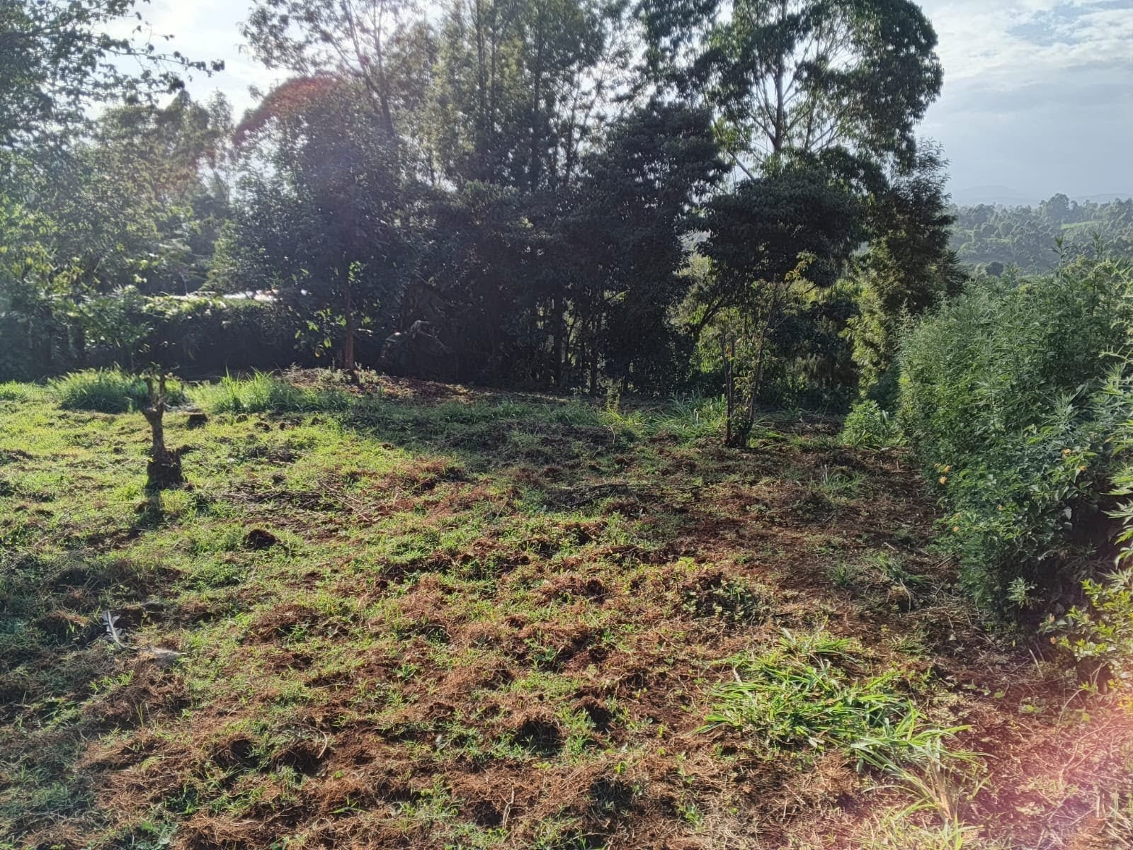 50 BY 100 (1/8 ACRE)