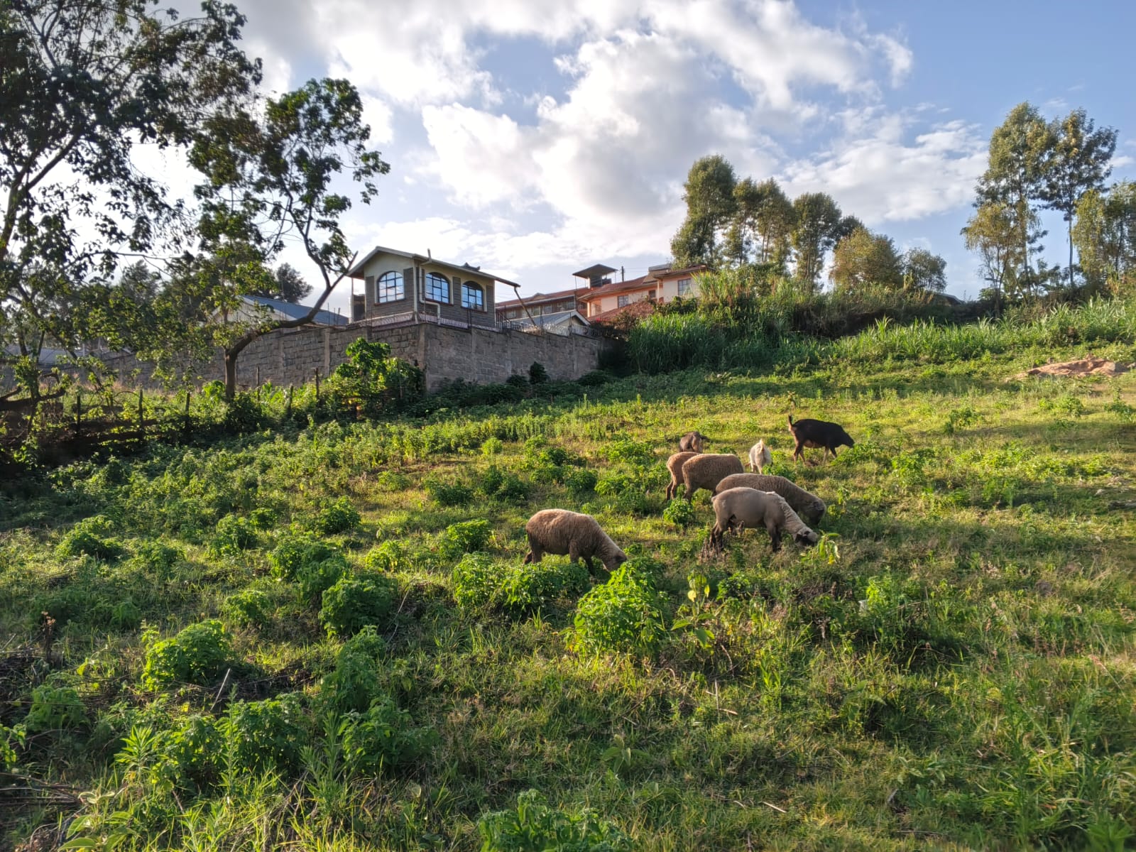 100 BY 100 (1/4 ACRE)