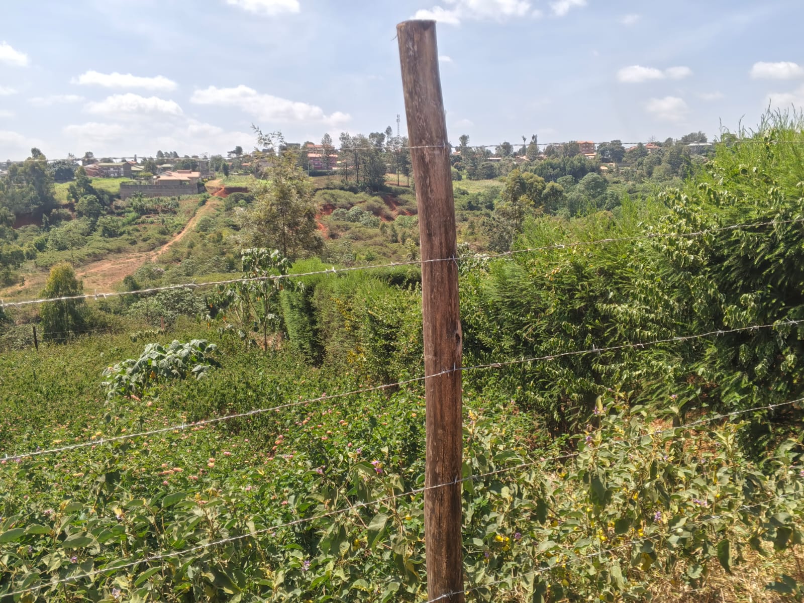 2 (1/8 ACRE)