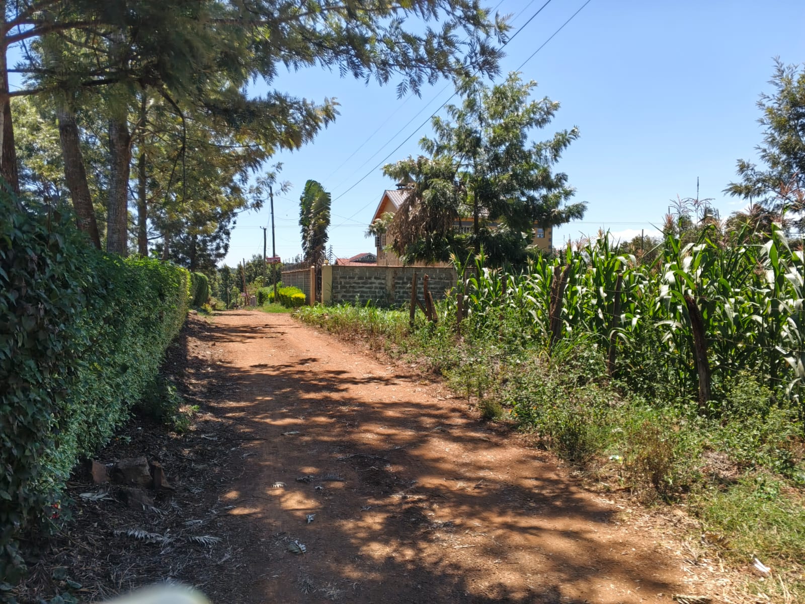 50 BY 100 (1/8 ACRE)