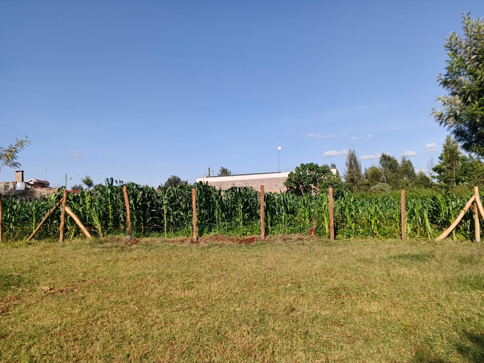 50 BY 100 (1/8 ACRE)