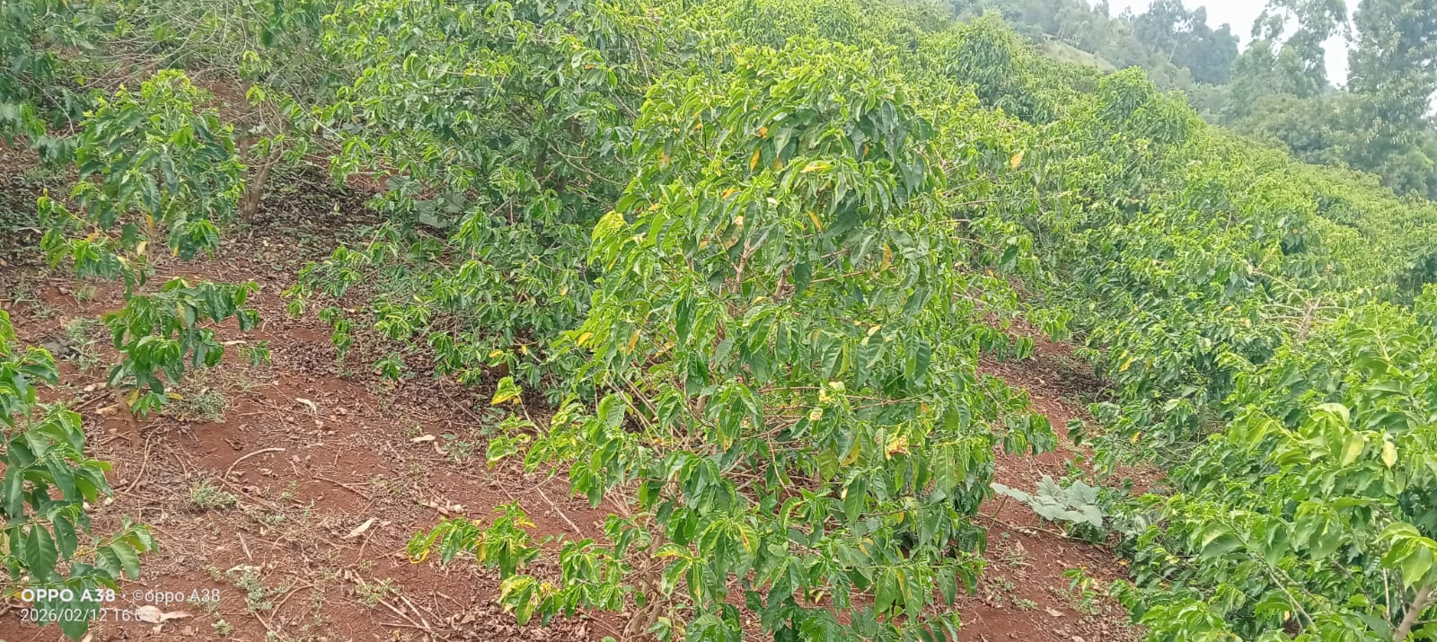 2 ACRES PIECE OF LAND