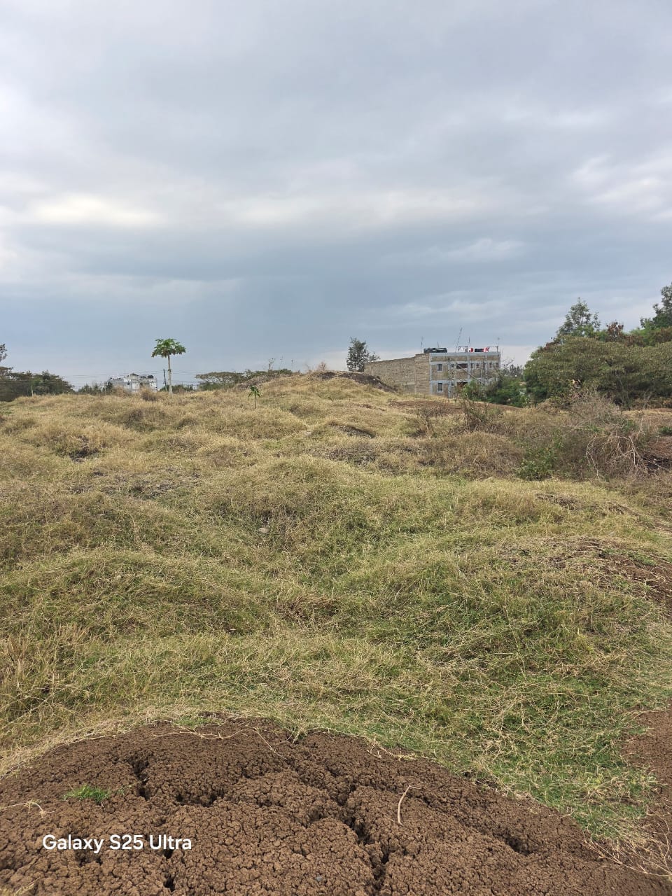 1 & 3/4 ACRE 