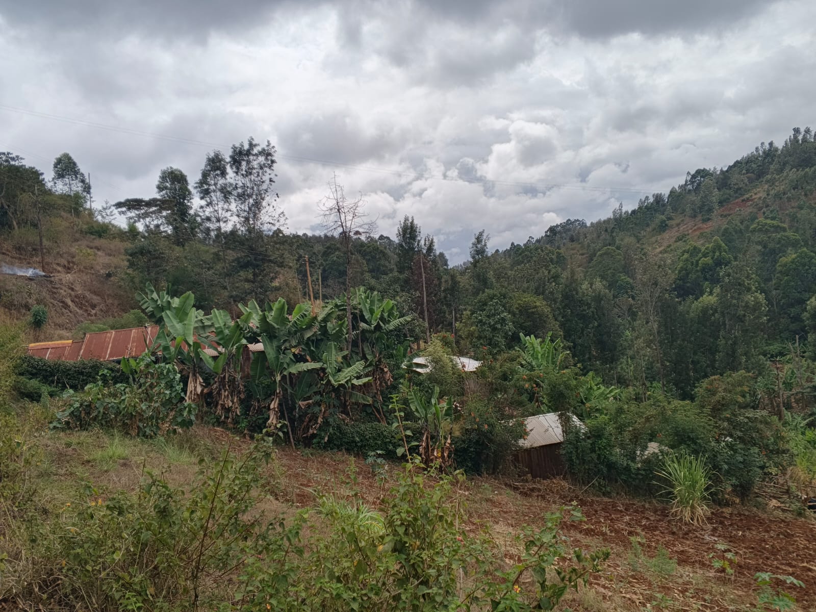 1 ACRE PIECE OF LAND.